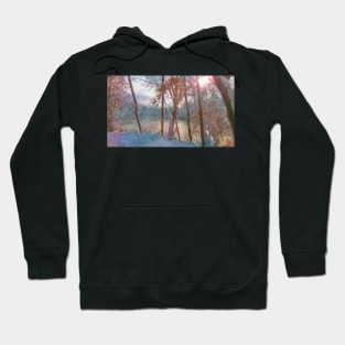 Winter Dream Hoodie